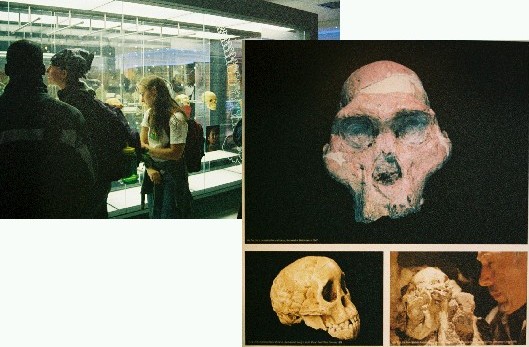 cradle of humankind